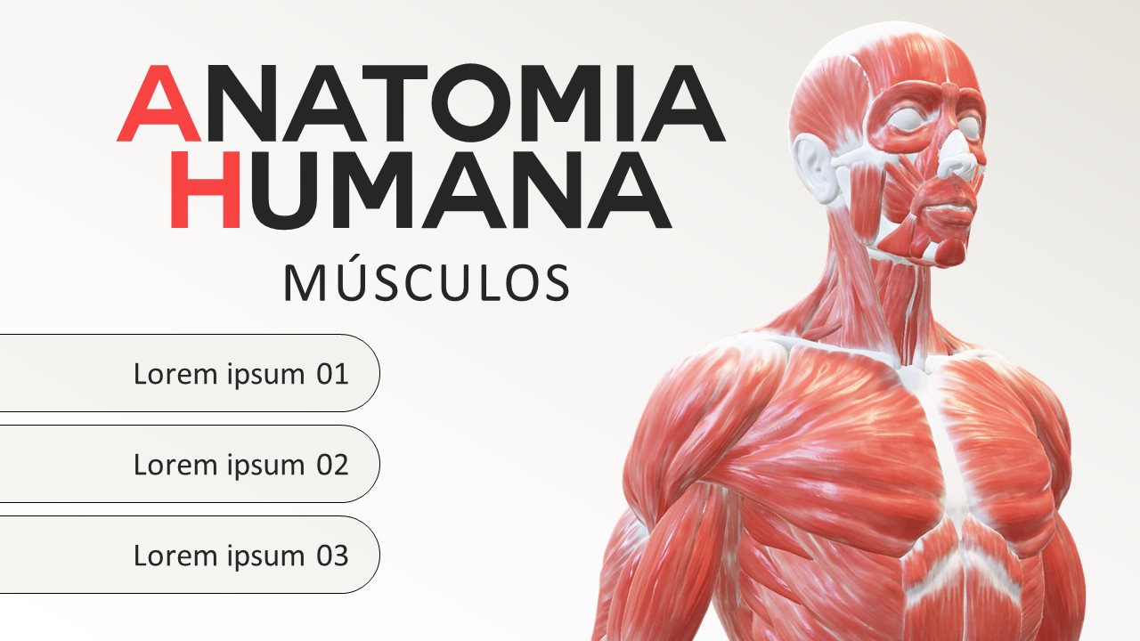 Anatomia Humana - Músculos