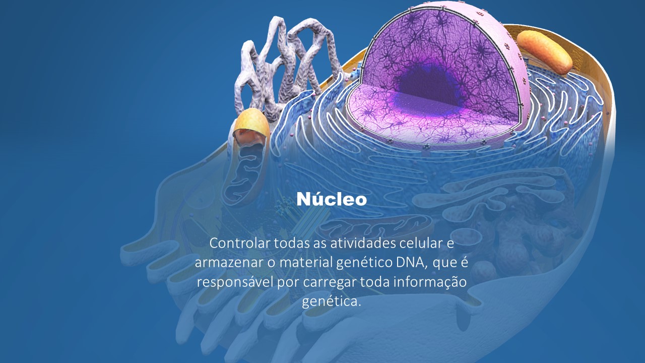 [Biologia] Células