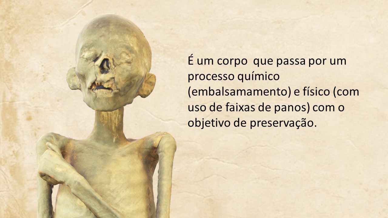 Slide20